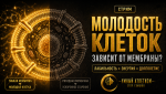 26710762-aed3-422d-9025-b667482a8de2.png