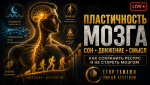 94e3b5db-c5db-4d18-a5ba-5f4e0ae6023a.png